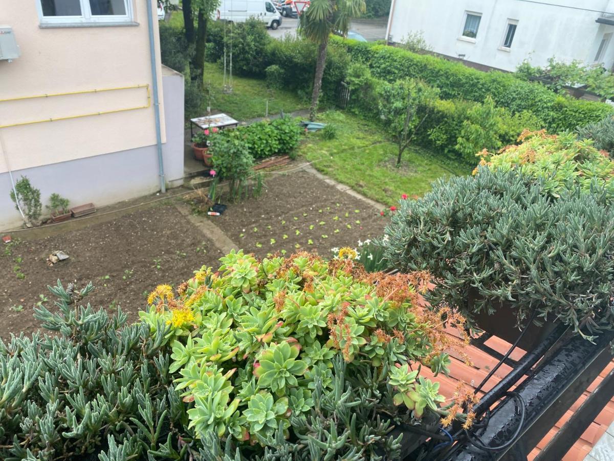 Apartma Magnolija Nova Gorica Esterno foto